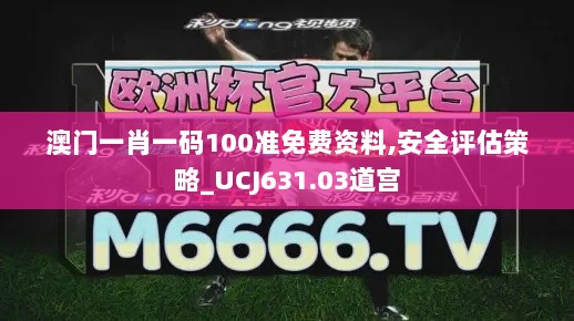 澳门一肖一码100准免费资料,安全评估策略_UCJ631.03道宫