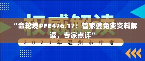 2024年11月13日 第39页