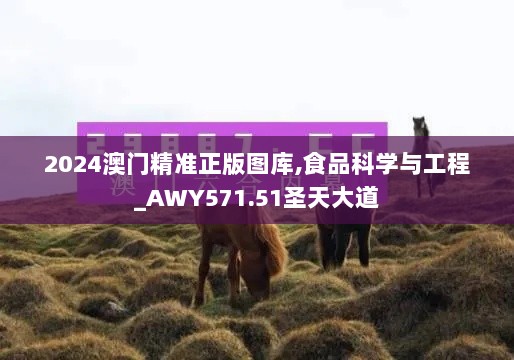 2024澳门精准正版图库,食品科学与工程_AWY571.51圣天大道