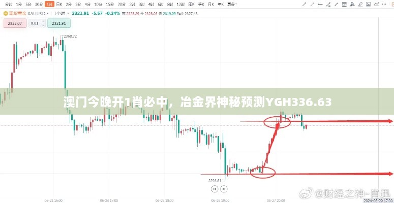 澳门今晚开1肖必中，冶金界神秘预测YGH336.63