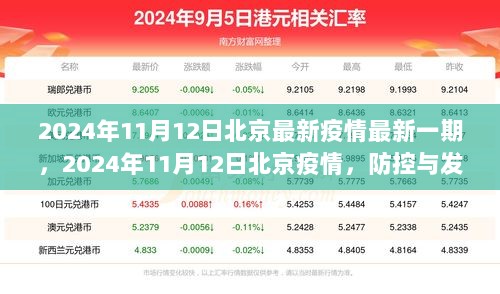 2024年11月12日北京疫情最新情况，防控与发展的平衡艺术