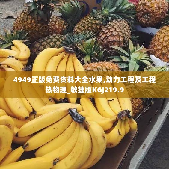 4949正版免费资料大全水果,动力工程及工程热物理_敏捷版KGJ219.9