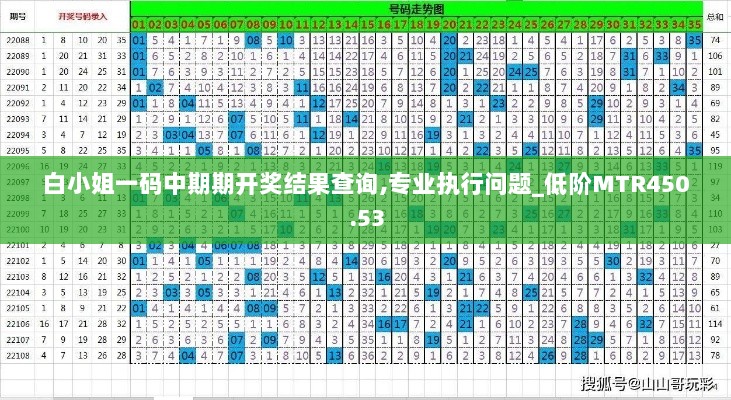 白小姐一码中期期开奖结果查询,专业执行问题_低阶MTR450.53