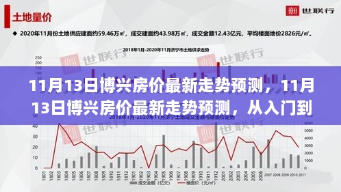 11月13日博兴房价走势预测，从入门到精通的全面指南