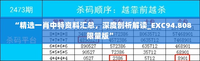 “精选一肖中特资料汇总，深度剖析解读_EXC94.808限量版”