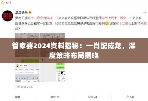 管家婆2024资料揭秘：一肖配成龙，深度策略布局揭晓