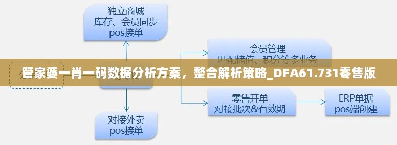 管家婆一肖一码数据分析方案，整合解析策略_DFA61.731零售版