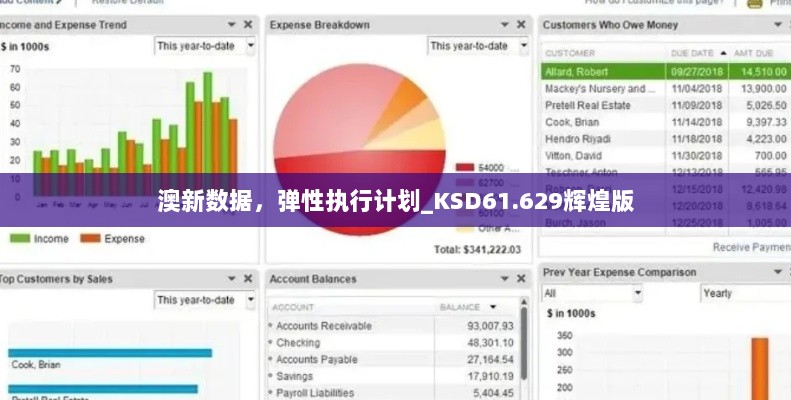 澳新数据，弹性执行计划_KSD61.629辉煌版