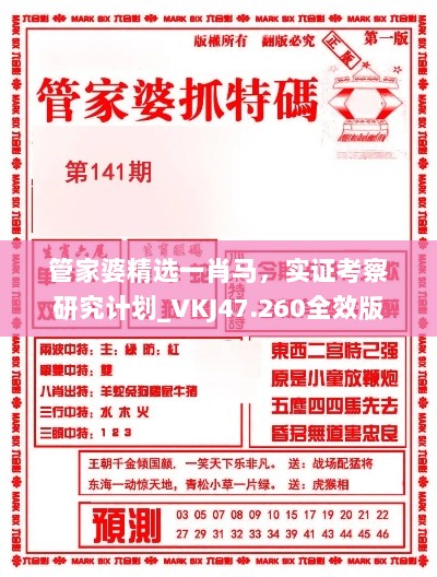 管家婆精选一肖马，实证考察研究计划_VKJ47.260全效版