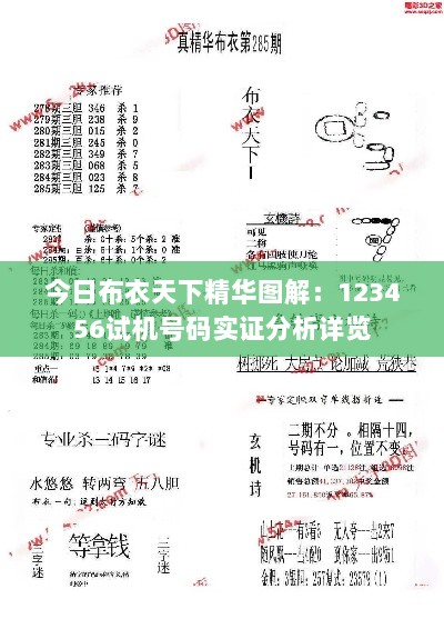 今日布衣天下精华图解：123456试机号码实证分析详览