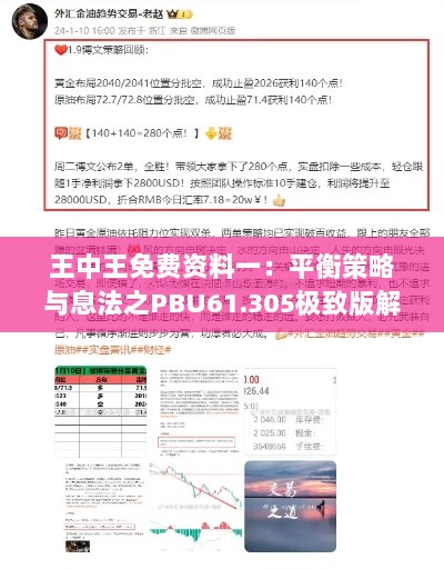 王中王免费资料一：平衡策略与息法之PBU61.305极致版解析