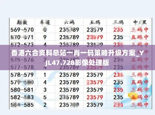 香港六合资料总站一肖一码策略升级方案_YJL47.728影像处理版