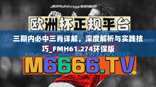 三期内必中三肖详解，深度解析与实践技巧_FMH61.274环保版