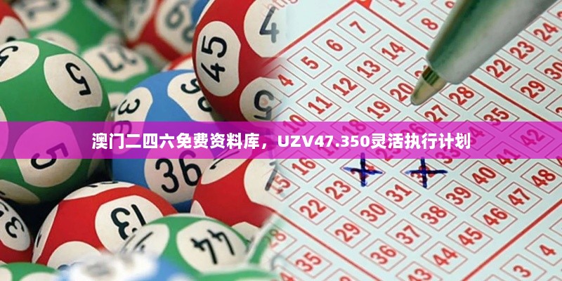 澳门二四六免费资料库，UZV47.350灵活执行计划