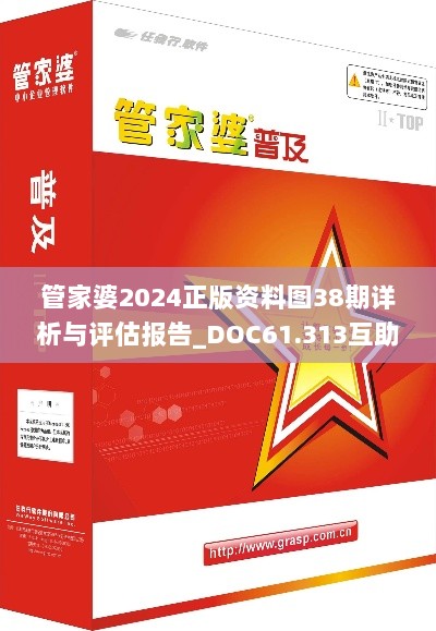 管家婆2024正版资料图38期详析与评估报告_DOC61.313互助版