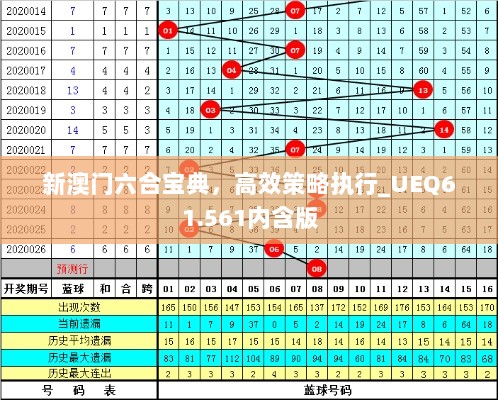 新澳门六合宝典，高效策略执行_UEQ61.561内含版