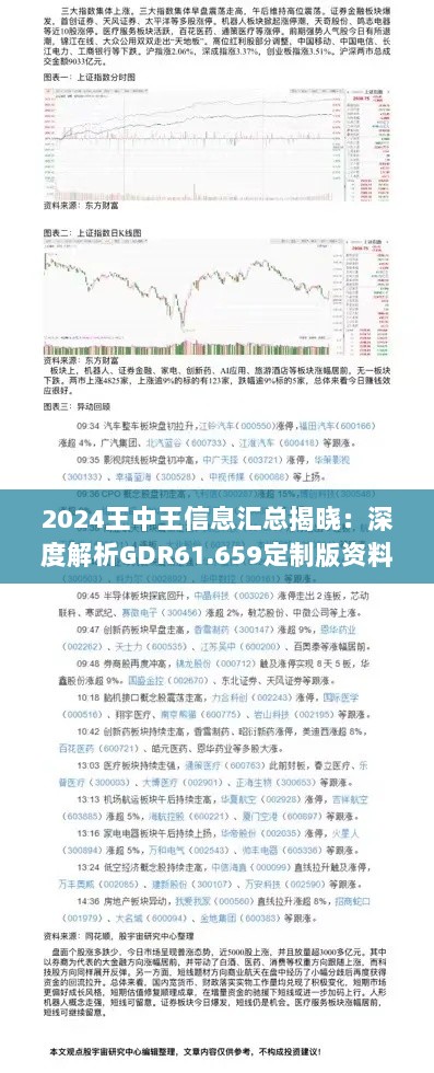 2024王中王信息汇总揭晓：深度解析GDR61.659定制版资料