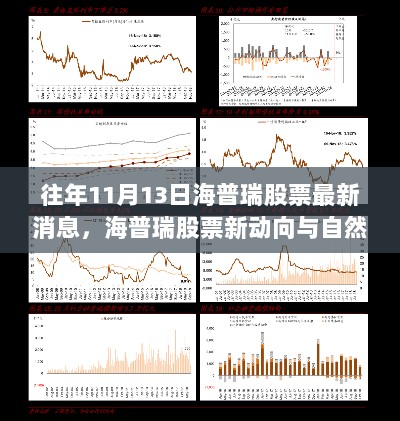 海普瑞股票新动向揭秘，11月13日最新消息与自然之旅的双重魅力