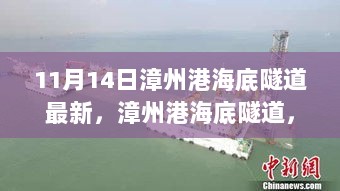 漳州港海底隧道，初学者与进阶用户的探索与使用指南（11月14日最新版）