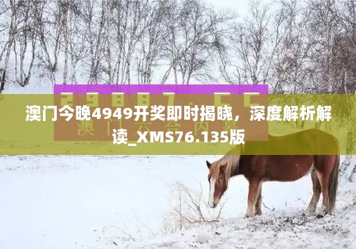 澳门今晚4949开奖即时揭晓，深度解析解读_XMS76.135版