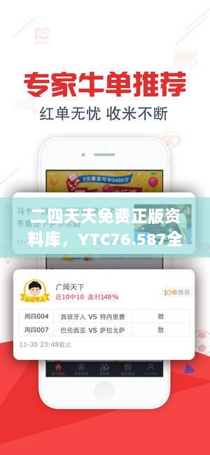 二四天天免费正版资料库，YTC76.587全景版设计指南