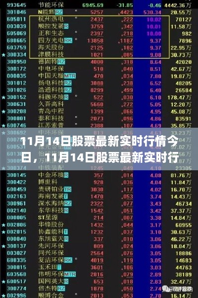 11月14日股票实时行情解析与用户体验报告