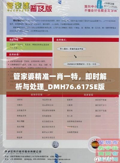 管家婆精准一肖一特，即时解析与处理_DMH76.617SE版