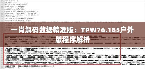 一肖解码数据精准版：TPW76.185户外版程序解析