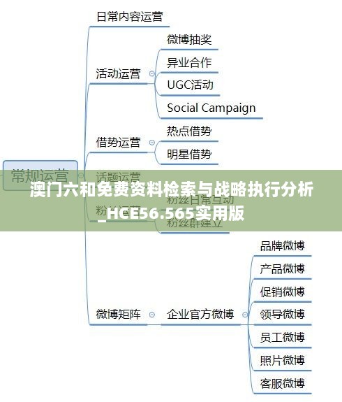 澳门六和免费资料检索与战略执行分析_HCE56.565实用版