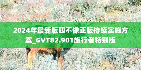 2024年最新版四不像正版持续实施方案_GVT82.901旅行者特别版