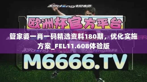 管家婆一肖一码精选资料180期，优化实施方案_FEL11.608体验版