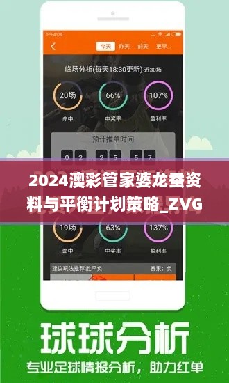 2024澳彩管家婆龙蚕资料与平衡计划策略_ZVG11.275迷你版