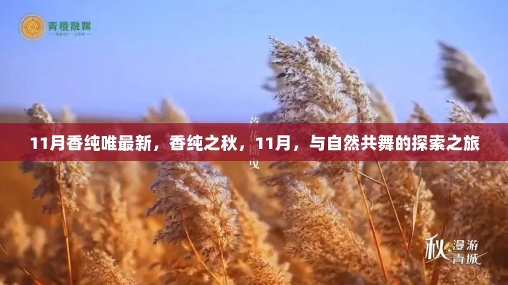 香纯之秋，11月的自然共舞探索之旅