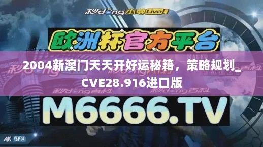 2004新澳门天天开好运秘籍，策略规划_CVE28.916进口版