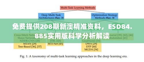 免费提供208期新澳精准资料，ESD84.885实用版科学分析解读