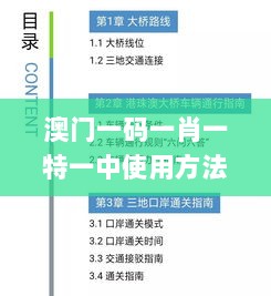 澳门一码一肖一特一中使用方法及快速解决指南_VWI87.411确认版