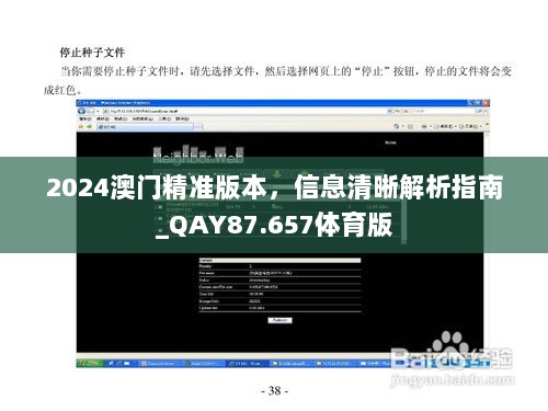 2024澳门精准版本，信息清晰解析指南_QAY87.657体育版