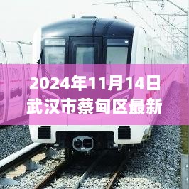 蔡甸区2024年11月14日暖心日常小确幸报道