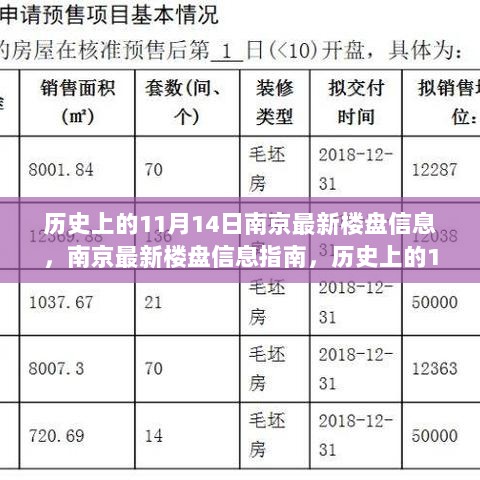 历史上的11月14日，南京最新楼盘信息与购房全攻略指南