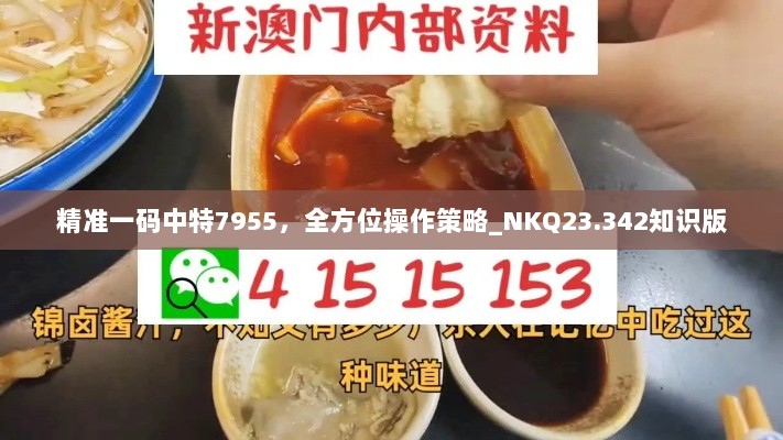 精准一码中特7955，全方位操作策略_NKQ23.342知识版