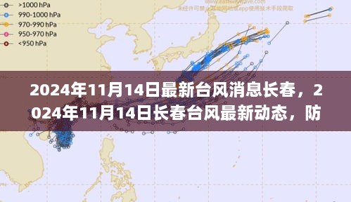 2024年11月14日长春台风最新动态及防御应对措施