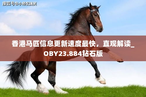 香港马匹信息更新速度最快，直观解读_OBY23.884钻石版