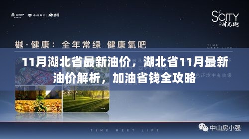 11月湖北省最新油价解析及省钱全攻略