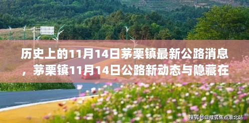 茅栗镇11月14日公路新动态与小巷隐藏特色小店探秘之旅