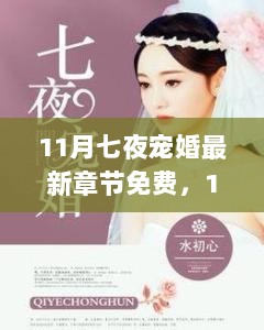 11月甜蜜婚恋故事，七夜宠婚最新章节免费