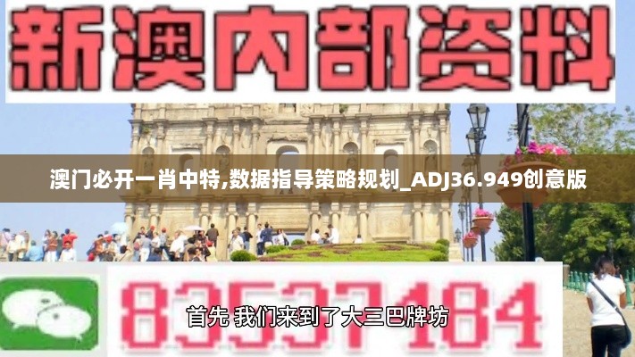 澳门必开一肖中特,数据指导策略规划_ADJ36.949创意版