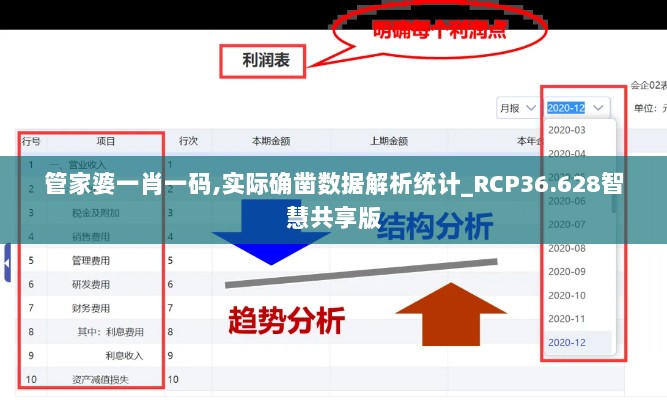 管家婆一肖一码,实际确凿数据解析统计_RCP36.628智慧共享版