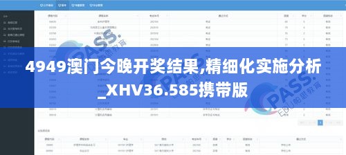 4949澳门今晚开奖结果,精细化实施分析_XHV36.585携带版