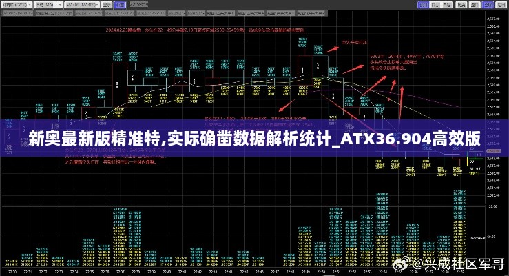 新奥最新版精准特,实际确凿数据解析统计_ATX36.904高效版