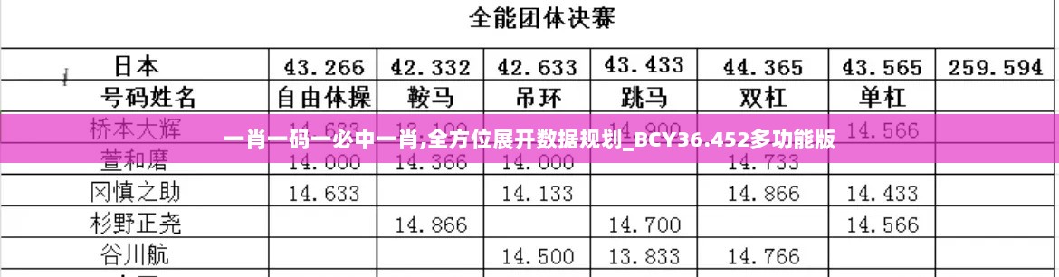 一肖一码一必中一肖,全方位展开数据规划_BCY36.452多功能版